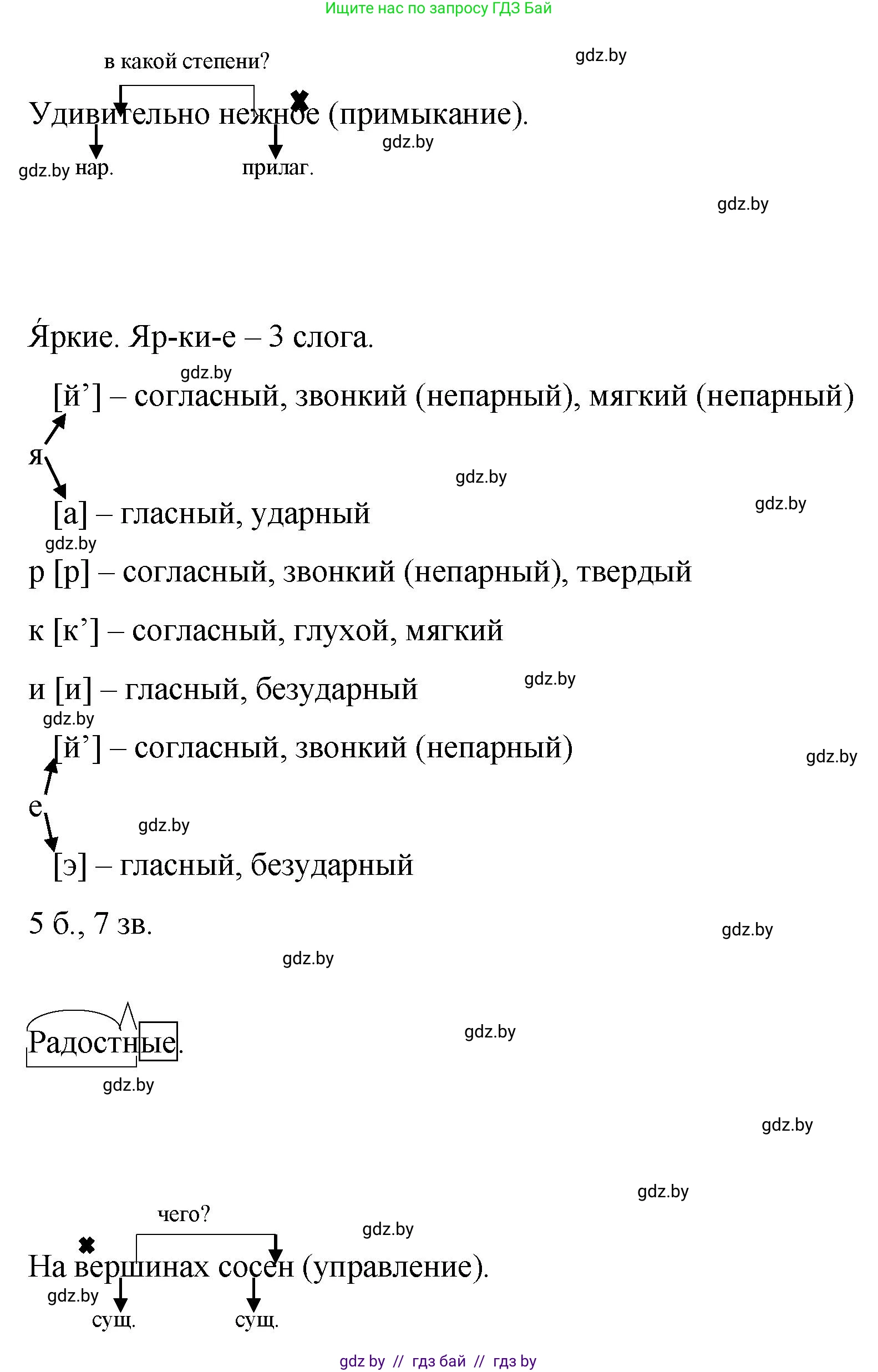 Русский язык, 8 класс Учебник, авторы: Мурина Лариса Александровна, Долбик Елена Евгеньевна, Леонович Валентина Леонидовна, Жадейко Жанна Фёдоровна, издательство Академия образования, Минск, 2024, страница 133, номер 249, Решение (продолжение 3)