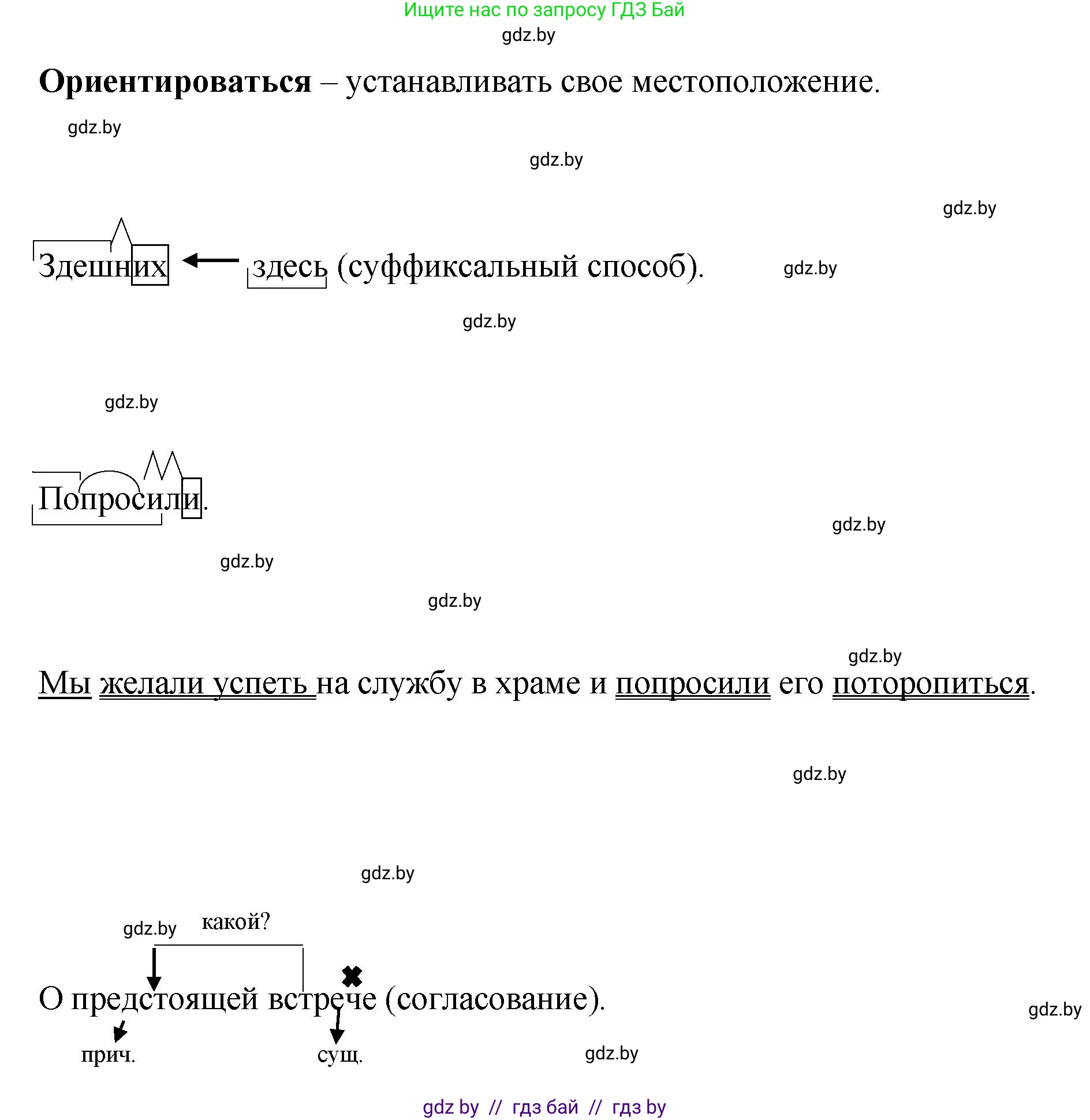 Русский язык, 8 класс Учебник, авторы: Мурина Лариса Александровна, Долбик Елена Евгеньевна, Леонович Валентина Леонидовна, Жадейко Жанна Фёдоровна, издательство Академия образования, Минск, 2024, страница 164, номер 299, Решение (продолжение 4)