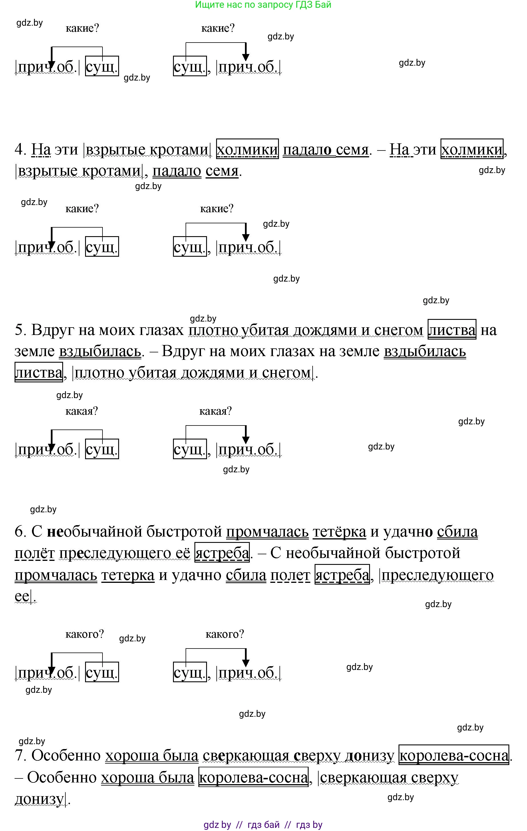 Русский язык, 8 класс Учебник, авторы: Мурина Лариса Александровна, Долбик Елена Евгеньевна, Леонович Валентина Леонидовна, Жадейко Жанна Фёдоровна, издательство Академия образования, Минск, 2024, страница 167, номер 305, Решение (продолжение 2)
