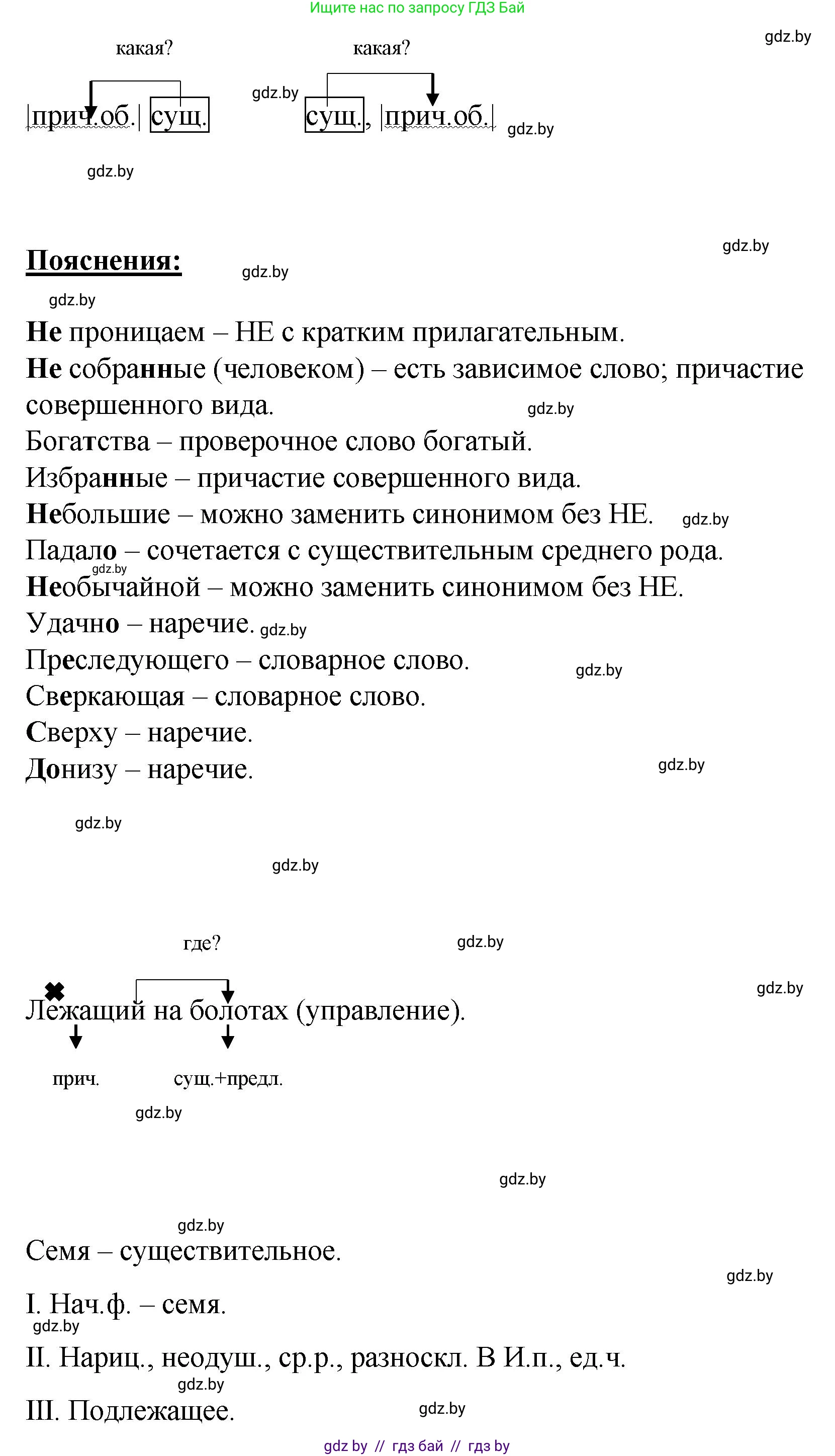 Русский язык, 8 класс Учебник, авторы: Мурина Лариса Александровна, Долбик Елена Евгеньевна, Леонович Валентина Леонидовна, Жадейко Жанна Фёдоровна, издательство Академия образования, Минск, 2024, страница 167, номер 305, Решение (продолжение 3)