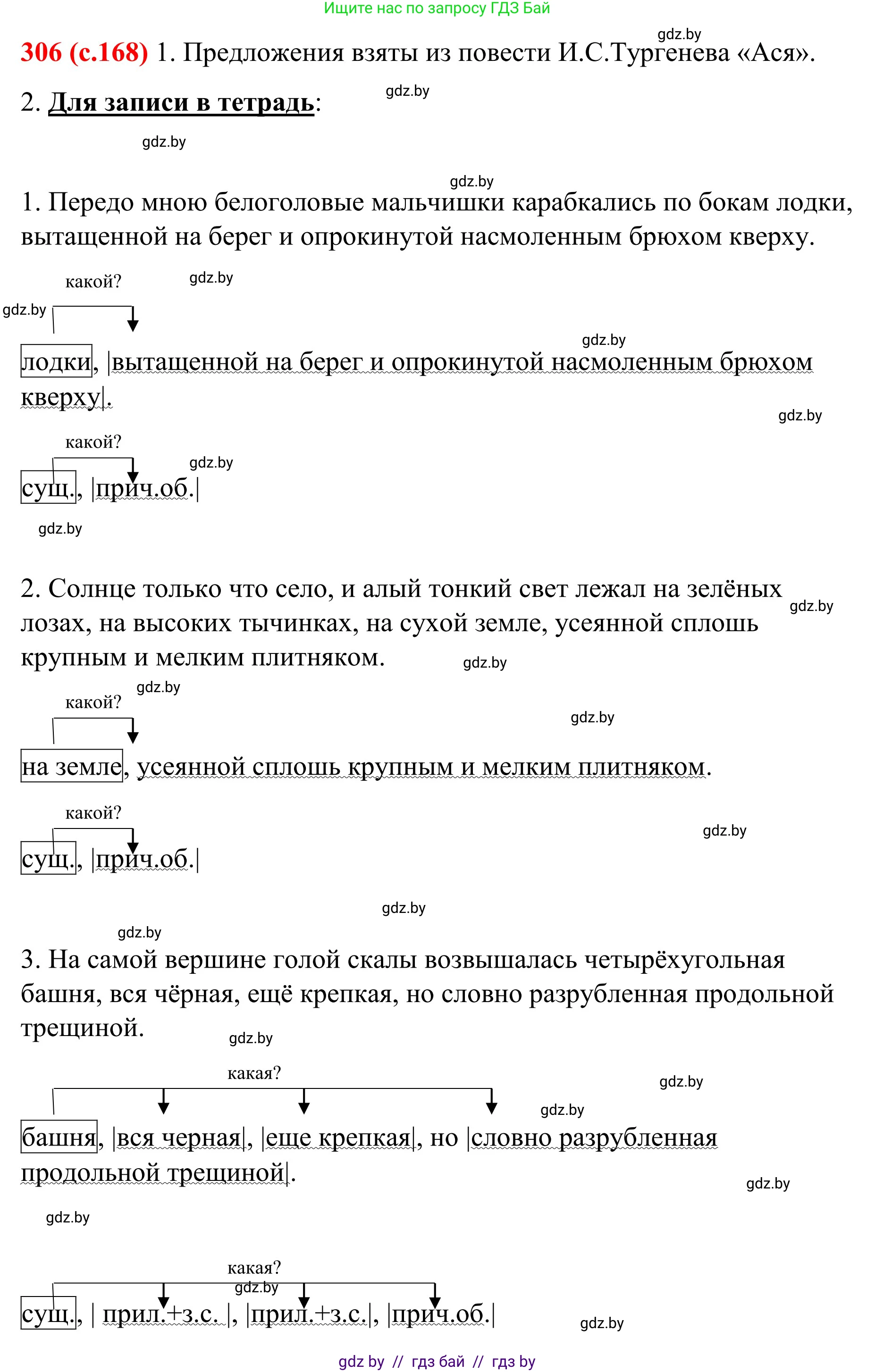 Русский язык, 8 класс Учебник, авторы: Мурина Лариса Александровна, Долбик Елена Евгеньевна, Леонович Валентина Леонидовна, Жадейко Жанна Фёдоровна, издательство Академия образования, Минск, 2024, страница 168, номер 306, Решение