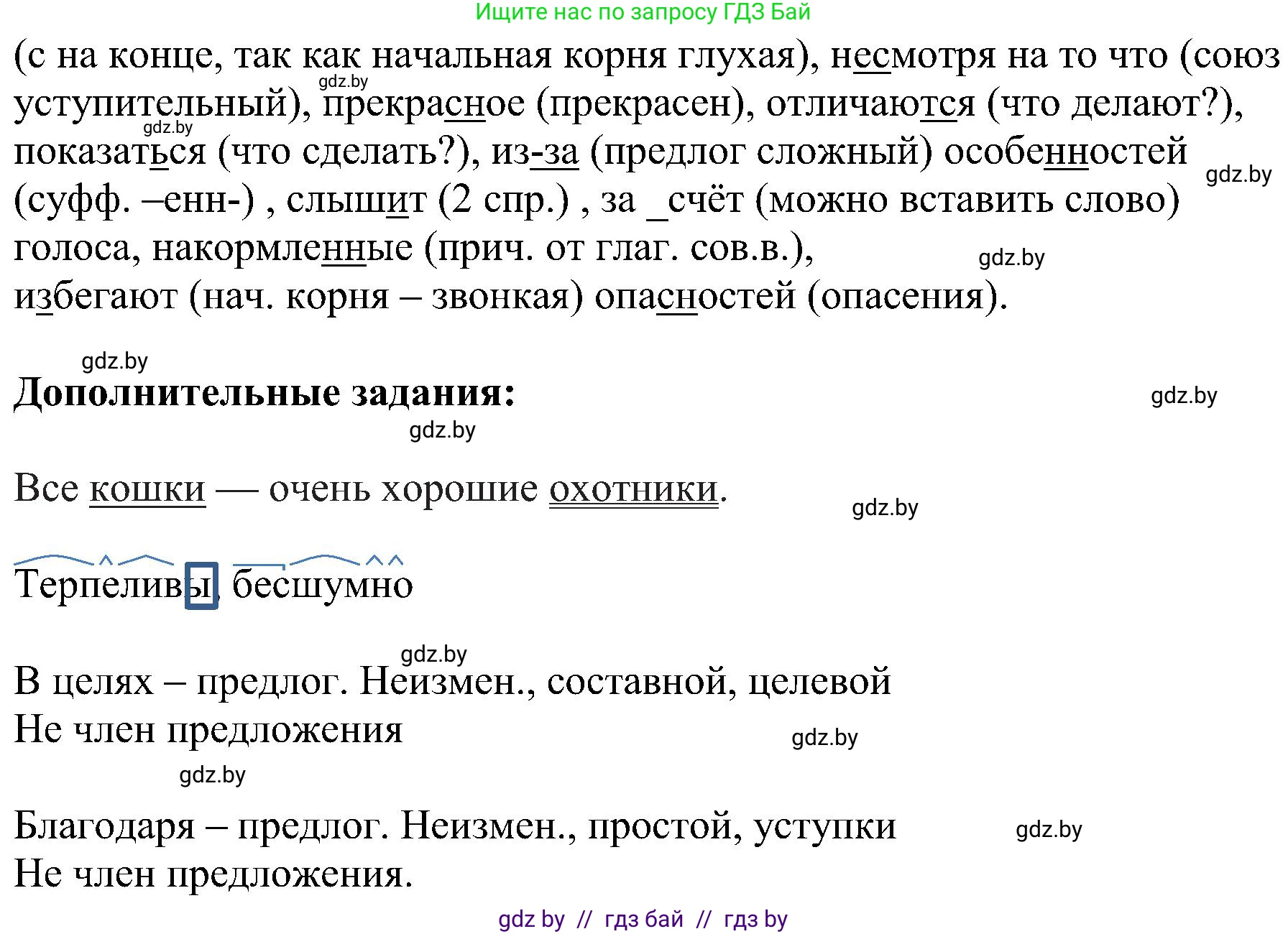 Русский язык, 8 класс Учебник, авторы: Мурина Лариса Александровна, Долбик Елена Евгеньевна, Леонович Валентина Леонидовна, Жадейко Жанна Фёдоровна, издательство Академия образования, Минск, 2024, страница 24, номер 31, Решение (продолжение 2)