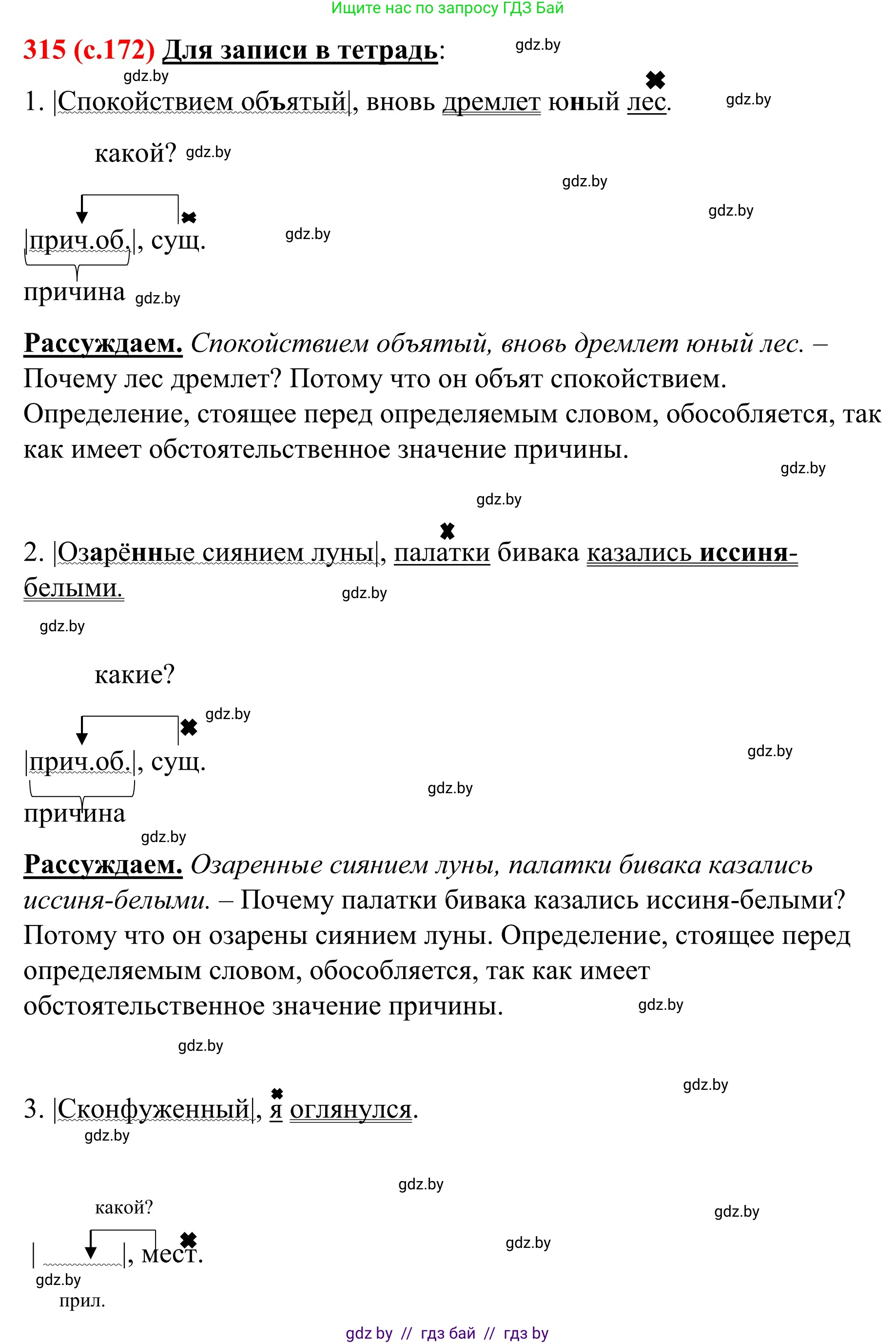 Русский язык, 8 класс Учебник, авторы: Мурина Лариса Александровна, Долбик Елена Евгеньевна, Леонович Валентина Леонидовна, Жадейко Жанна Фёдоровна, издательство Академия образования, Минск, 2024, страница 172, номер 315, Решение
