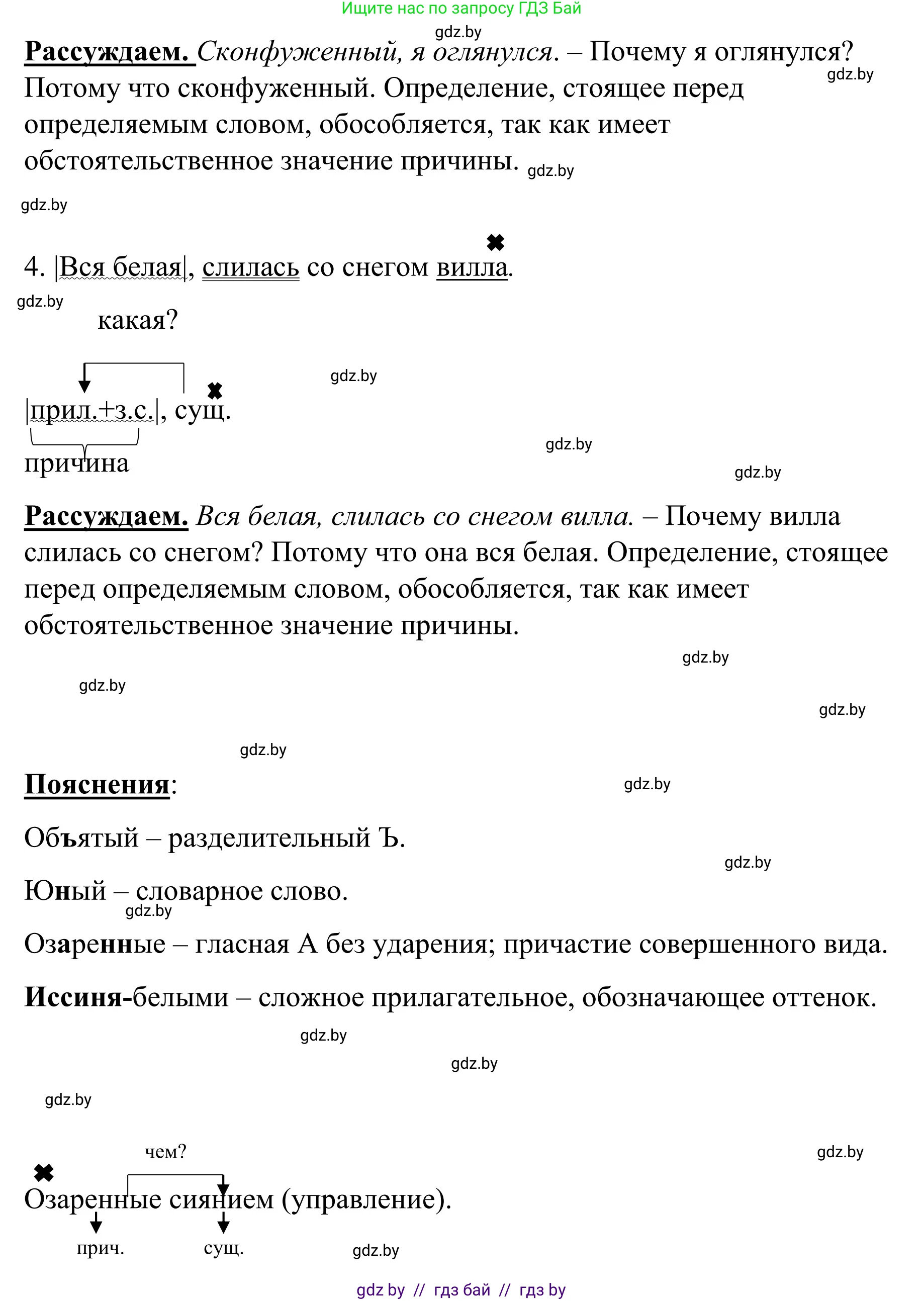 Русский язык, 8 класс Учебник, авторы: Мурина Лариса Александровна, Долбик Елена Евгеньевна, Леонович Валентина Леонидовна, Жадейко Жанна Фёдоровна, издательство Академия образования, Минск, 2024, страница 172, номер 315, Решение (продолжение 2)