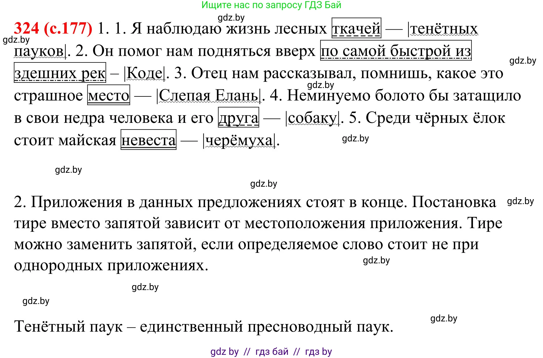 Русский язык, 8 класс Учебник, авторы: Мурина Лариса Александровна, Долбик Елена Евгеньевна, Леонович Валентина Леонидовна, Жадейко Жанна Фёдоровна, издательство Академия образования, Минск, 2024, страница 177, номер 324, Решение
