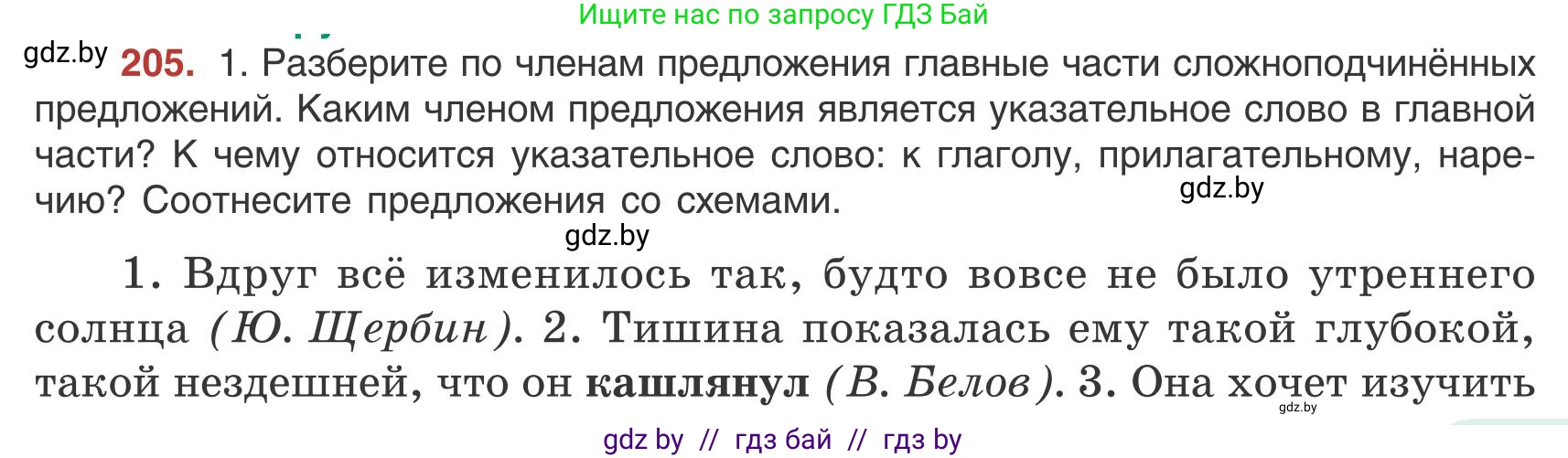 Русский язык, 9 класс Учебник, авторы: Мурина Лариса Александровна, Литвинко Франя Михайловна, Долбик Елена Евгеньевна, Пипченко Н М, Германович С Ф, Таяновская И В, издательство Академия образования, Минск, 2025, страница 115, номер 205, Условие 2025