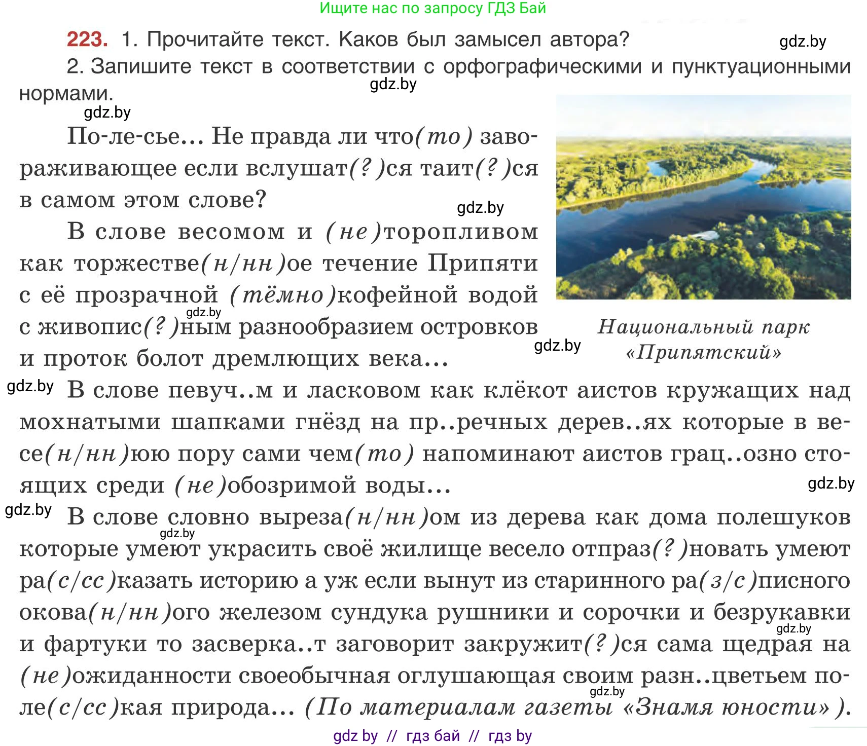 Русский язык, 9 класс Учебник, авторы: Мурина Лариса Александровна, Литвинко Франя Михайловна, Долбик Елена Евгеньевна, Пипченко Н М, Германович С Ф, Таяновская И В, издательство Академия образования, Минск, 2025, страница 123, номер 223, Условие 2025