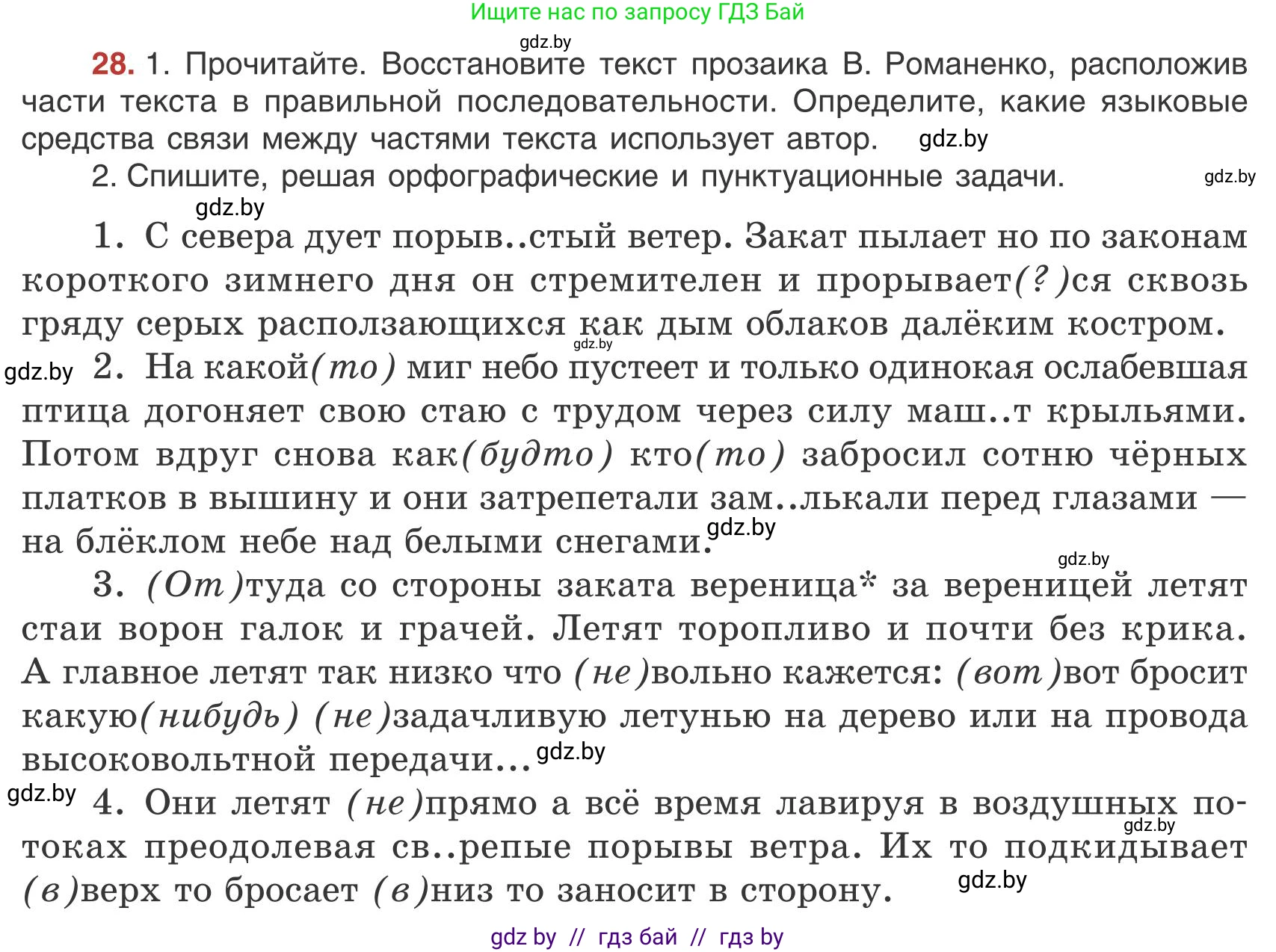 Русский язык, 9 класс Учебник, авторы: Мурина Лариса Александровна, Литвинко Франя Михайловна, Долбик Елена Евгеньевна, Пипченко Н М, Германович С Ф, Таяновская И В, издательство Академия образования, Минск, 2025, страница 22, номер 28, Условие 2025