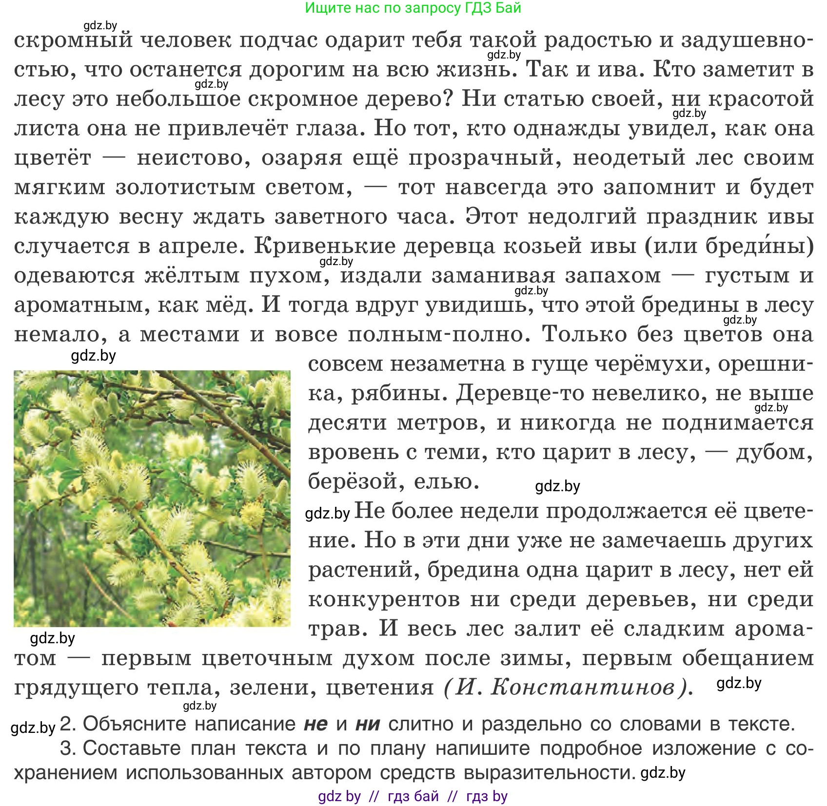 Русский язык, 9 класс Учебник, авторы: Мурина Лариса Александровна, Литвинко Франя Михайловна, Долбик Елена Евгеньевна, Пипченко Н М, Германович С Ф, Таяновская И В, издательство Академия образования, Минск, 2025, страница 33, номер 42, Условие 2025 (продолжение 2)