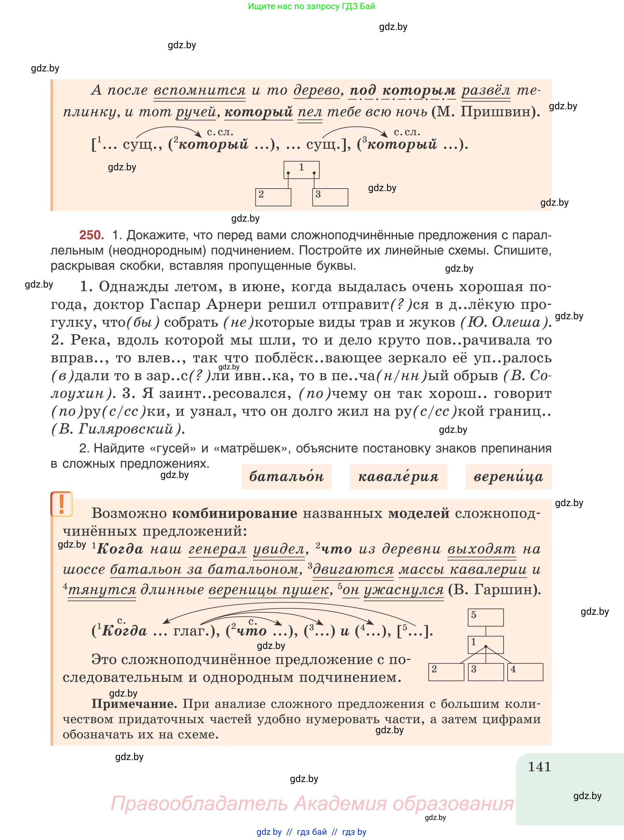 Русский язык, 9 класс Учебник, авторы: Мурина Лариса Александровна, Литвинко Франя Михайловна, Долбик Елена Евгеньевна, Пипченко Н М, Германович С Ф, Таяновская И В, издательство Академия образования, Минск, 2025, страница 141