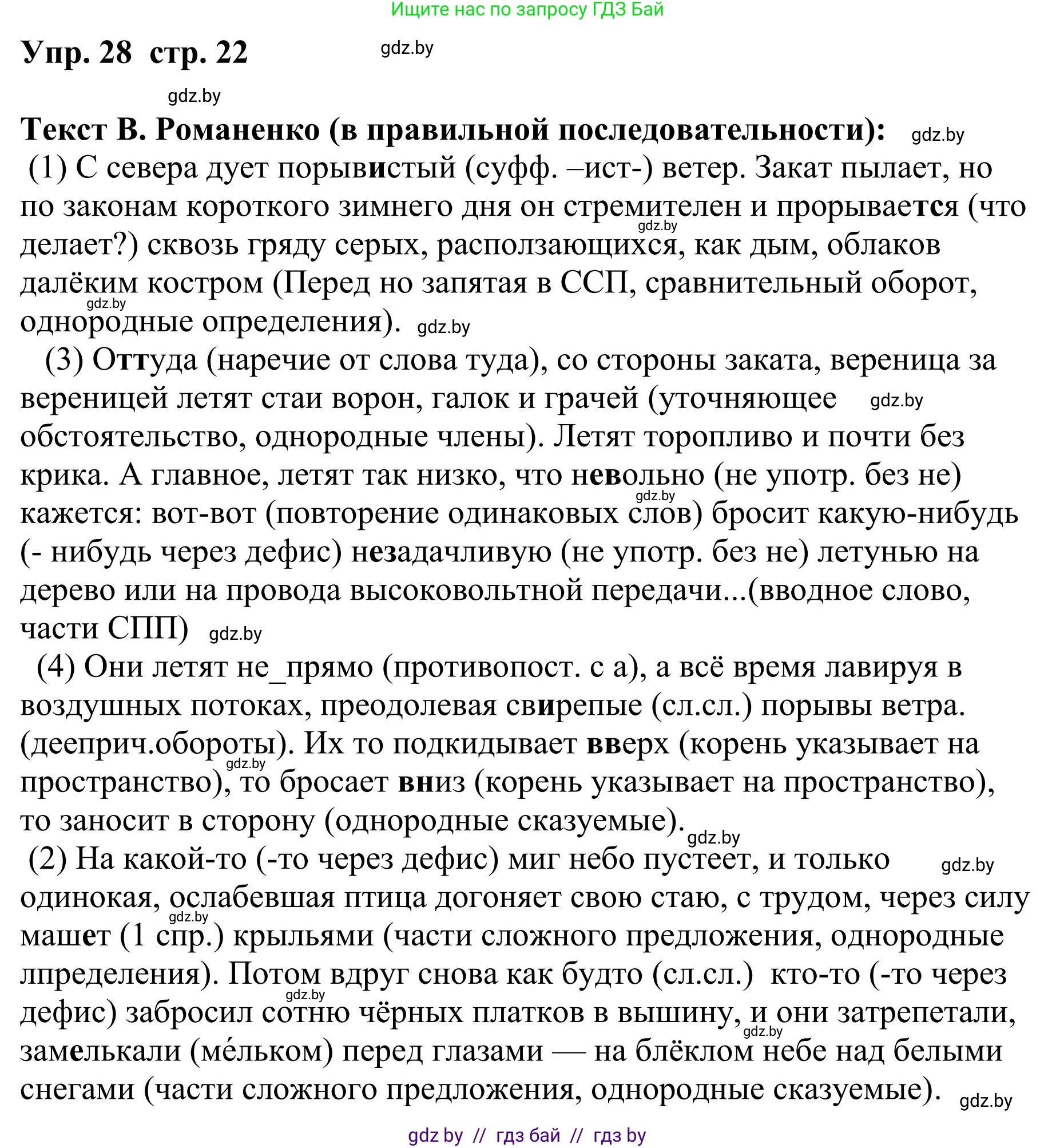 Русский язык, 9 класс Учебник, авторы: Мурина Лариса Александровна, Литвинко Франя Михайловна, Долбик Елена Евгеньевна, Пипченко Н М, Германович С Ф, Таяновская И В, издательство Академия образования, Минск, 2025, страница 22, номер 28, Решение 2025