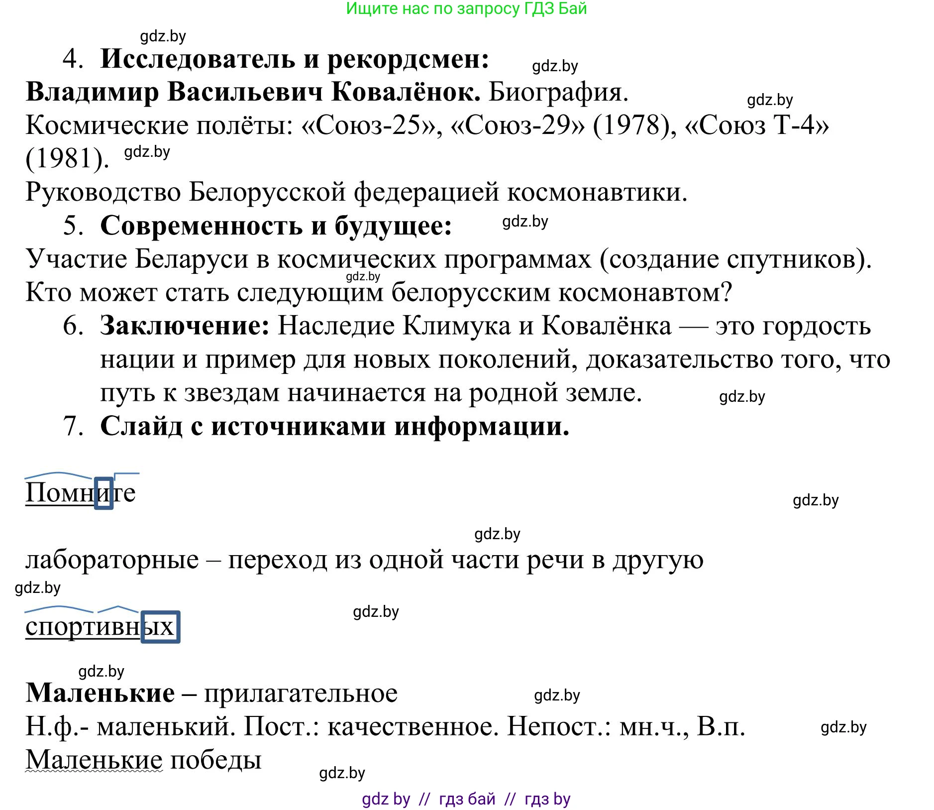 Русский язык, 9 класс Учебник, авторы: Мурина Лариса Александровна, Литвинко Франя Михайловна, Долбик Елена Евгеньевна, Пипченко Н М, Германович С Ф, Таяновская И В, издательство Академия образования, Минск, 2025, страница 216, номер 379, Решение 2025 (продолжение 3)