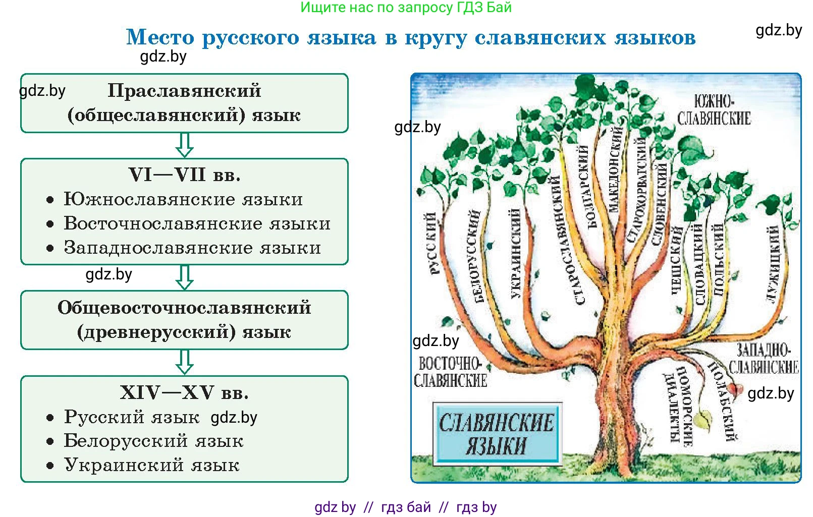 Русский язык, 10 класс Учебник, авторы: Леонович Валентина Леонидовна, Саникович Валентина Александровна, Литвинко Франя Михайловна, Волынец Татьяна Николаевна, Долбик Елена Евгеньевна, Малецкая М И, Мурина Лариса Александровна, Таяновская И В, издательство Национальный институт образования, Минск, 2020, страница 14, номер 18, Условие (продолжение 2)
