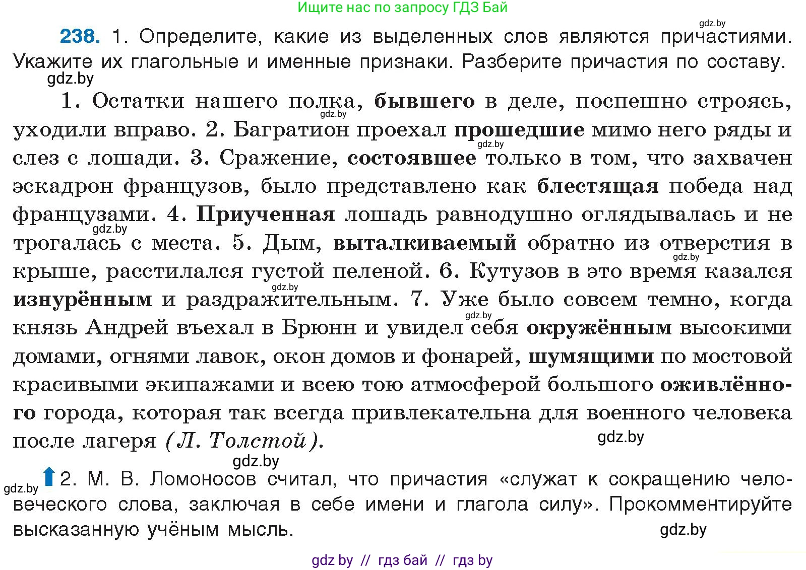 Русский язык, 10 класс Учебник, авторы: Леонович Валентина Леонидовна, Саникович Валентина Александровна, Литвинко Франя Михайловна, Волынец Татьяна Николаевна, Долбик Елена Евгеньевна, Малецкая М И, Мурина Лариса Александровна, Таяновская И В, издательство Национальный институт образования, Минск, 2020, страница 133, номер 238, Условие