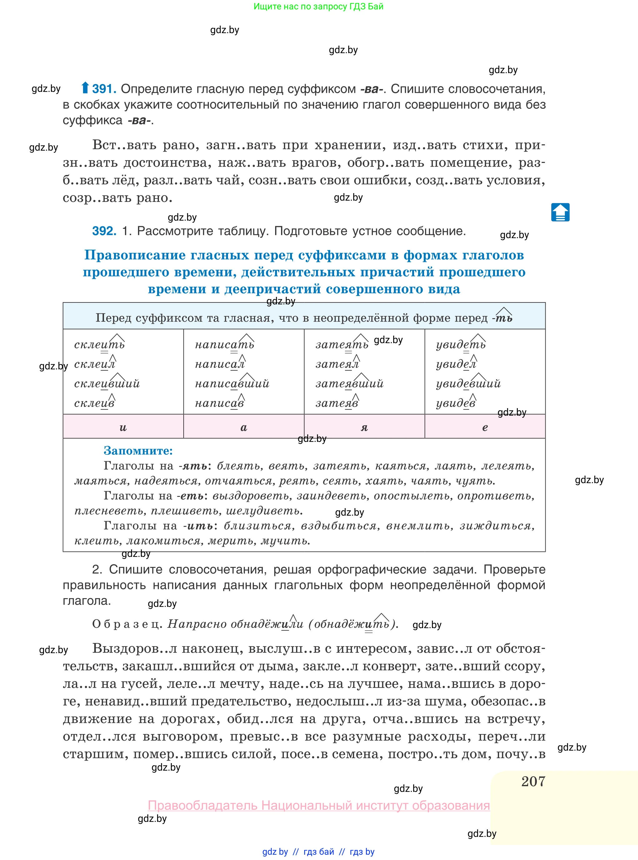 Русский язык, 10 класс Учебник, авторы: Леонович Валентина Леонидовна, Саникович Валентина Александровна, Литвинко Франя Михайловна, Волынец Татьяна Николаевна, Долбик Елена Евгеньевна, Малецкая М И, Мурина Лариса Александровна, Таяновская И В, издательство Национальный институт образования, Минск, 2020, страница 207