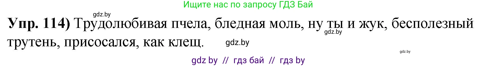 Русский язык, 10 класс Учебник, авторы: Леонович Валентина Леонидовна, Саникович Валентина Александровна, Литвинко Франя Михайловна, Волынец Татьяна Николаевна, Долбик Елена Евгеньевна, Малецкая М И, Мурина Лариса Александровна, Таяновская И В, издательство Национальный институт образования, Минск, 2020, страница 73, номер 114, Решение