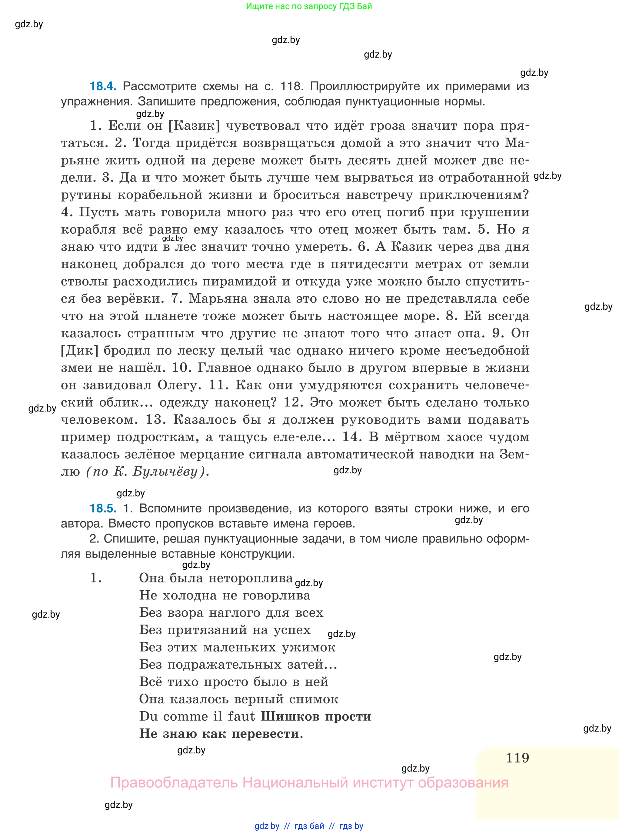 Русский язык, 11 класс Учебник, авторы: Долбик Елена Евгеньевна, Литвинко Франя Михайловна, Мурина Лариса Александровна, Шиманович Т В, Таяновская И В, Орловская О Я, издательство Национальный институт образования, Минск, 2021, страница 119