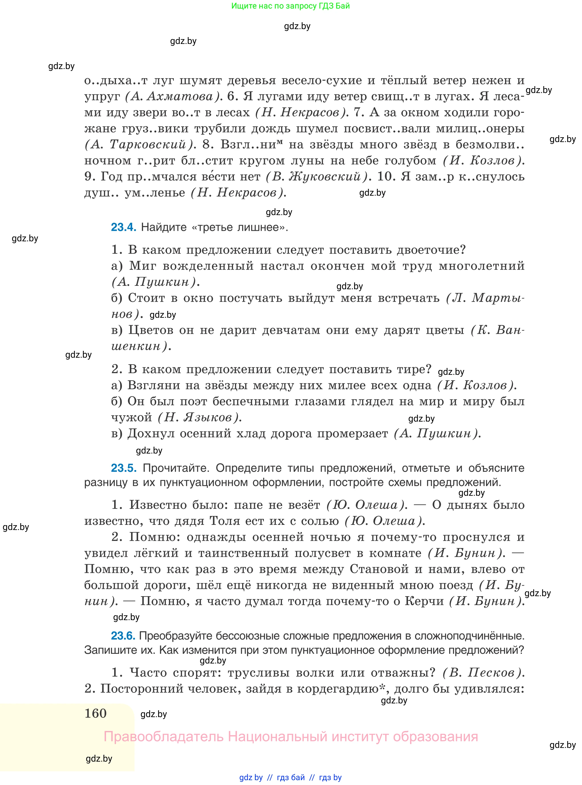 Русский язык, 11 класс Учебник, авторы: Долбик Елена Евгеньевна, Литвинко Франя Михайловна, Мурина Лариса Александровна, Шиманович Т В, Таяновская И В, Орловская О Я, издательство Национальный институт образования, Минск, 2021, страница 160