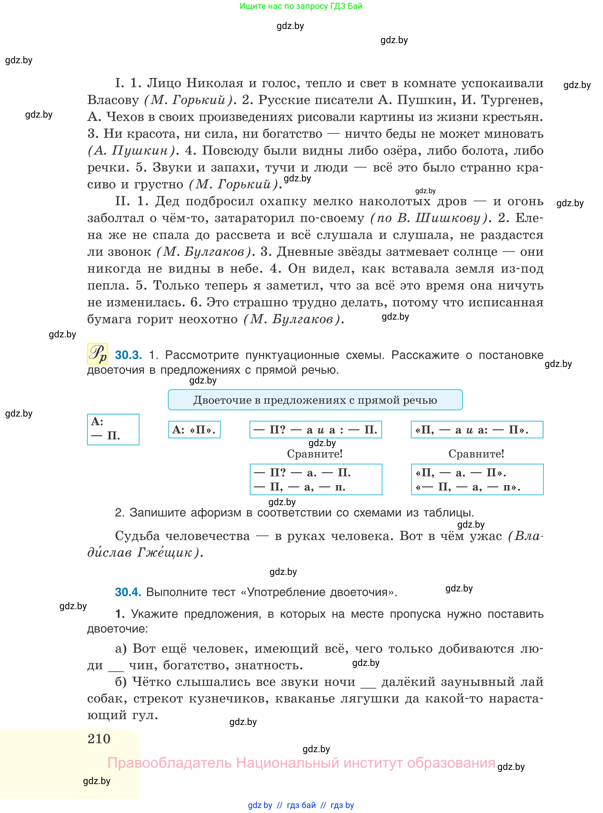 Русский язык, 11 класс Учебник, авторы: Долбик Елена Евгеньевна, Литвинко Франя Михайловна, Мурина Лариса Александровна, Шиманович Т В, Таяновская И В, Орловская О Я, издательство Национальный институт образования, Минск, 2021, страница 210