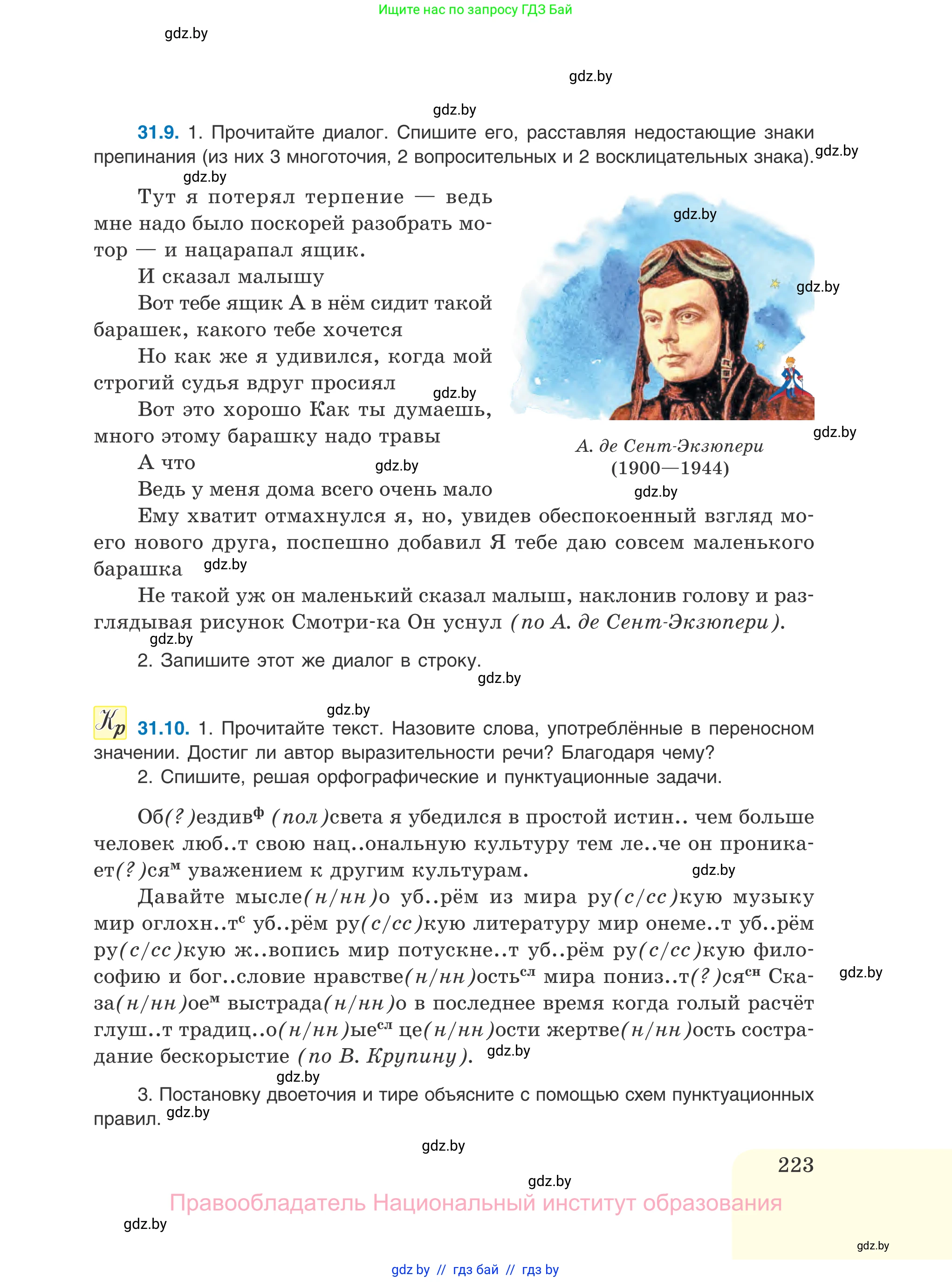 Русский язык, 11 класс Учебник, авторы: Долбик Елена Евгеньевна, Литвинко Франя Михайловна, Мурина Лариса Александровна, Шиманович Т В, Таяновская И В, Орловская О Я, издательство Национальный институт образования, Минск, 2021, страница 223