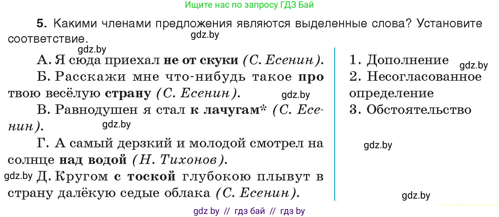 Русский язык, 11 класс Учебник, авторы: Долбик Елена Евгеньевна, Литвинко Франя Михайловна, Мурина Лариса Александровна, Шиманович Т В, Таяновская И В, Орловская О Я, издательство Национальный институт образования, Минск, 2021, страница 251, номер 5, Условие