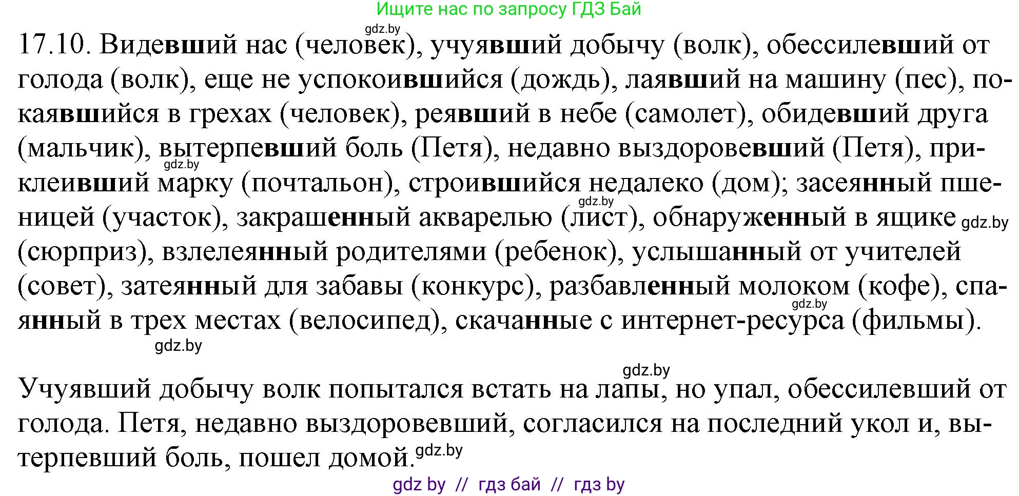 Русский язык, 11 класс Учебник, авторы: Долбик Елена Евгеньевна, Литвинко Франя Михайловна, Мурина Лариса Александровна, Шиманович Т В, Таяновская И В, Орловская О Я, издательство Национальный институт образования, Минск, 2021, страница 109, номер 17.10, Решение