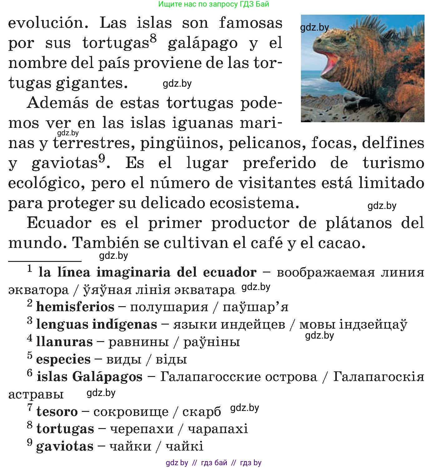 Испанский язык, 5 класс Учебник, автор: Гриневич Елена Карловна, издательство Вышэйшая школа, Минск, 2015, оранжевого цвета, Часть 1, страница 120, номер 14, Условие (продолжение 2)