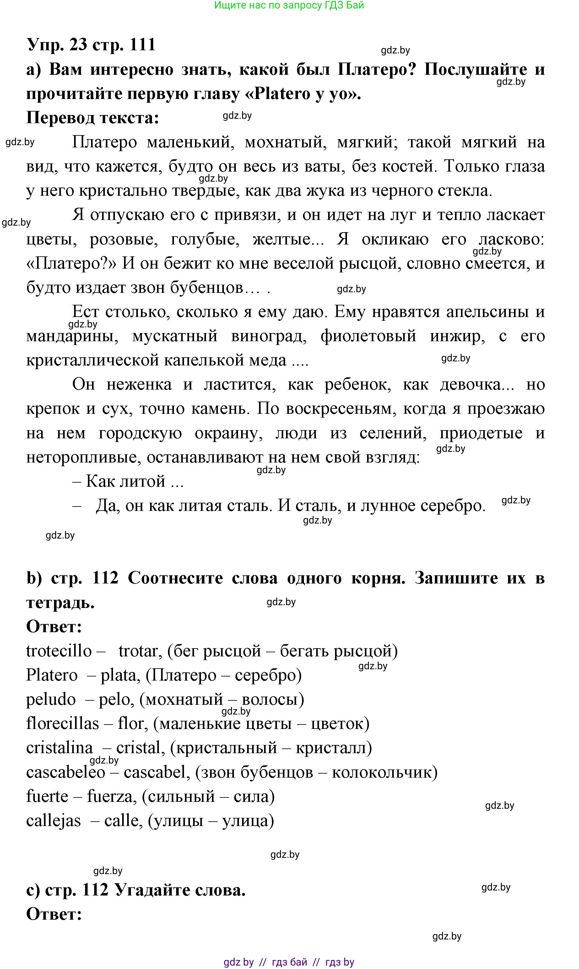 Испанский язык, 6 класс Учебник, авторы: Цыбулева Татьяна Эдуардовна, Пушкина Ольга Александровна, издательство Издательский центр БГУ, Минск, 2018, Часть 1, страница 111, номер 23, Решение