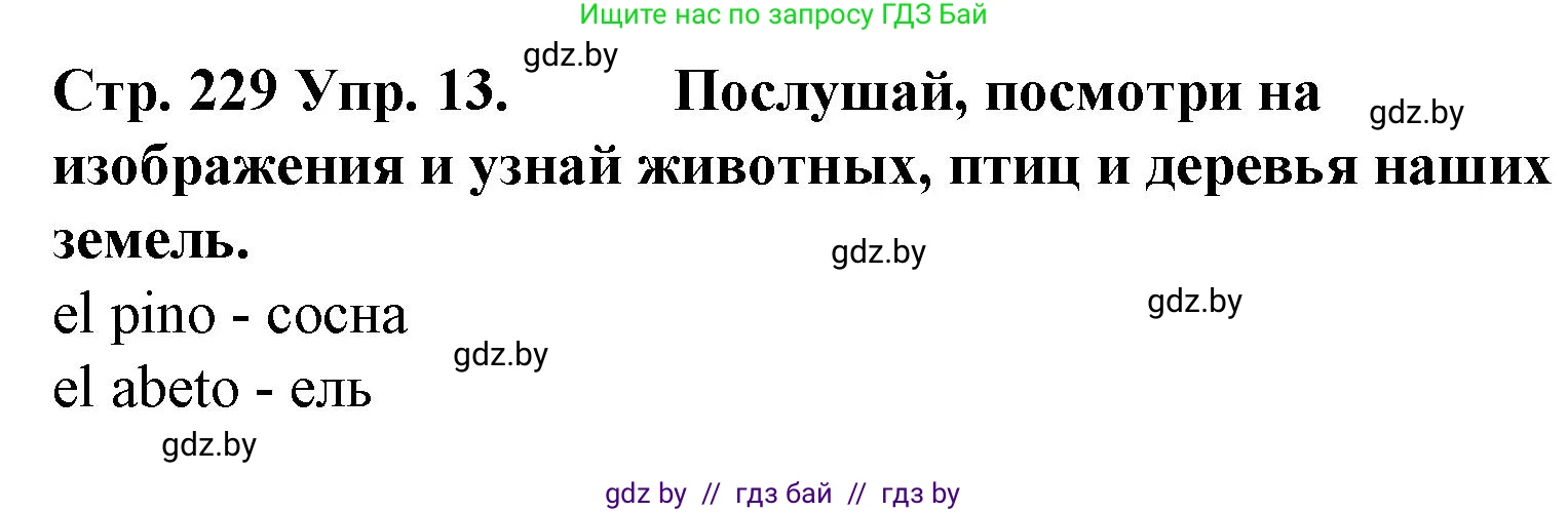 Испанский язык, 6 класс Учебник, автор: Гриневич Елена Карловна, издательство Вышэйшая школа, Минск, 2016, зелёного цвета, страница 229, номер 13, Решение