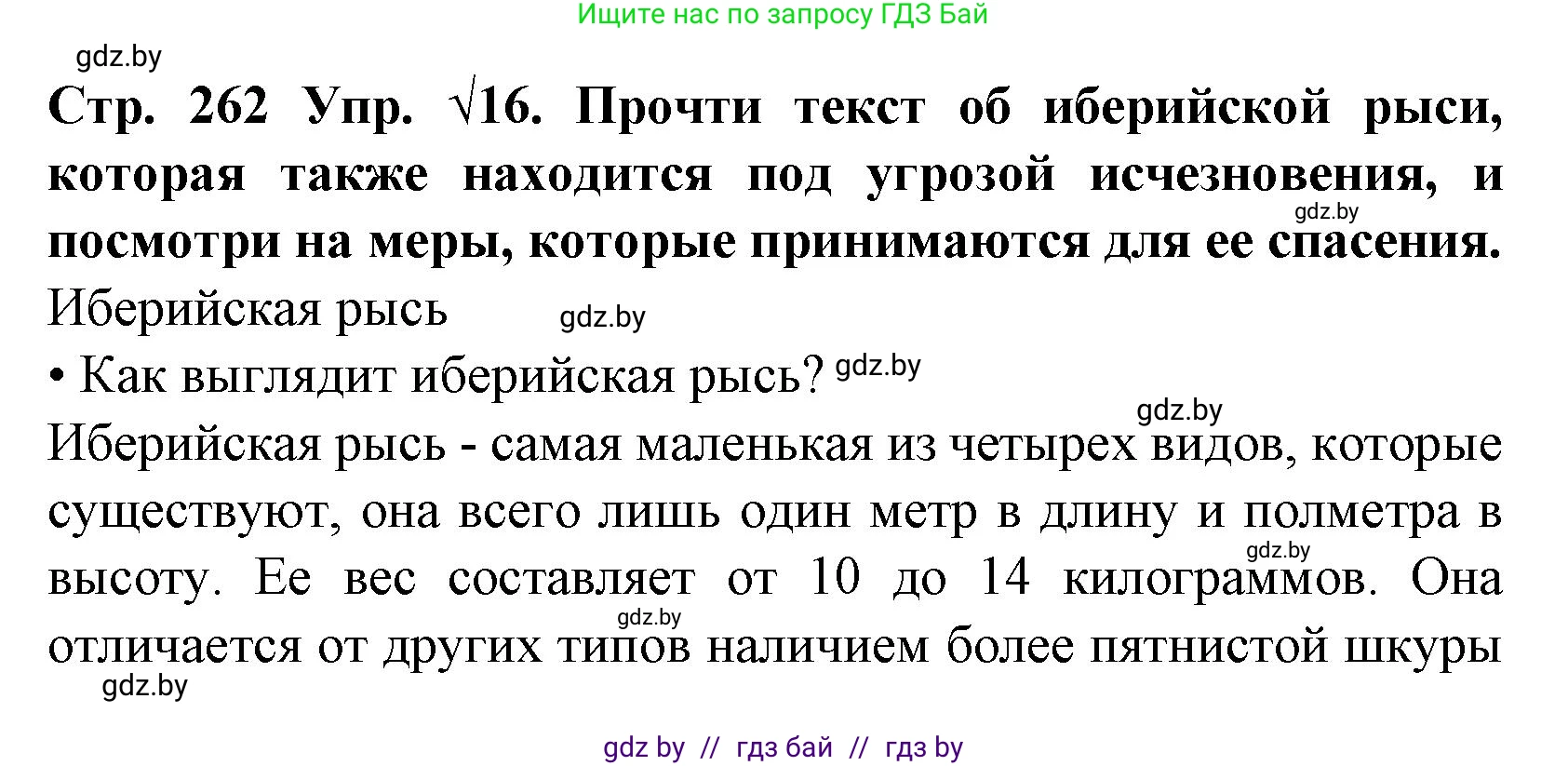 Испанский язык, 6 класс Учебник, автор: Гриневич Елена Карловна, издательство Вышэйшая школа, Минск, 2016, зелёного цвета, страница 262, номер 16, Решение