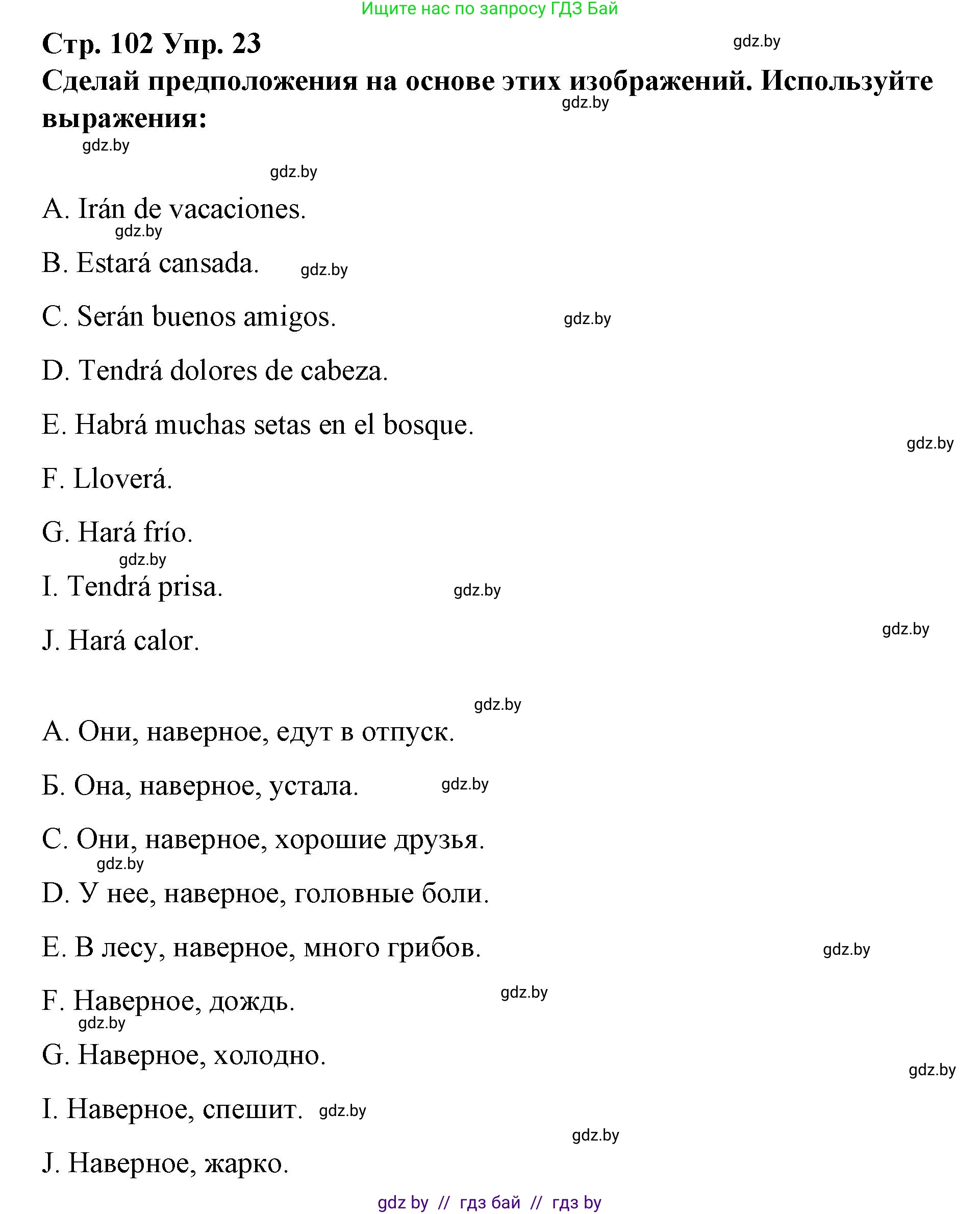 Испанский язык, 10 класс Учебник, авторы: Гриневич Елена Карловна, Янукенас Ольга Викторовна, издательство Вышэйшая школа, Минск, 2019, оранжевого цвета, страница 102, номер 23, Решение